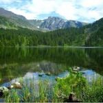 Trip to Altai Ahamkara