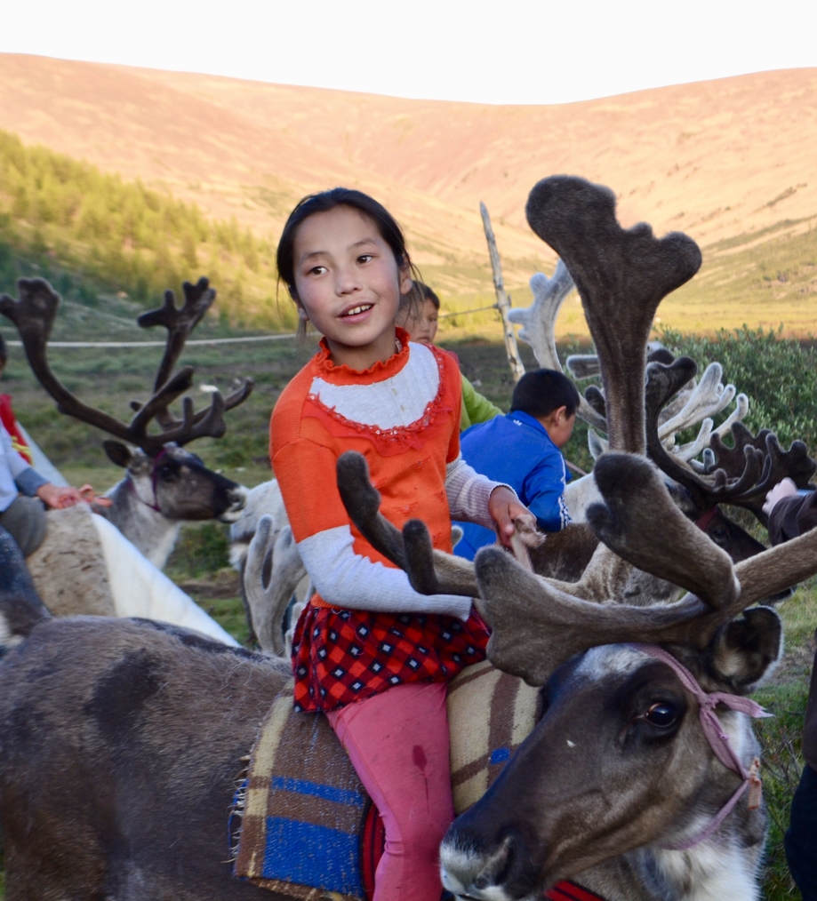 White Birch Tree Sap Healing Retreat in Mongolia - Zennergi